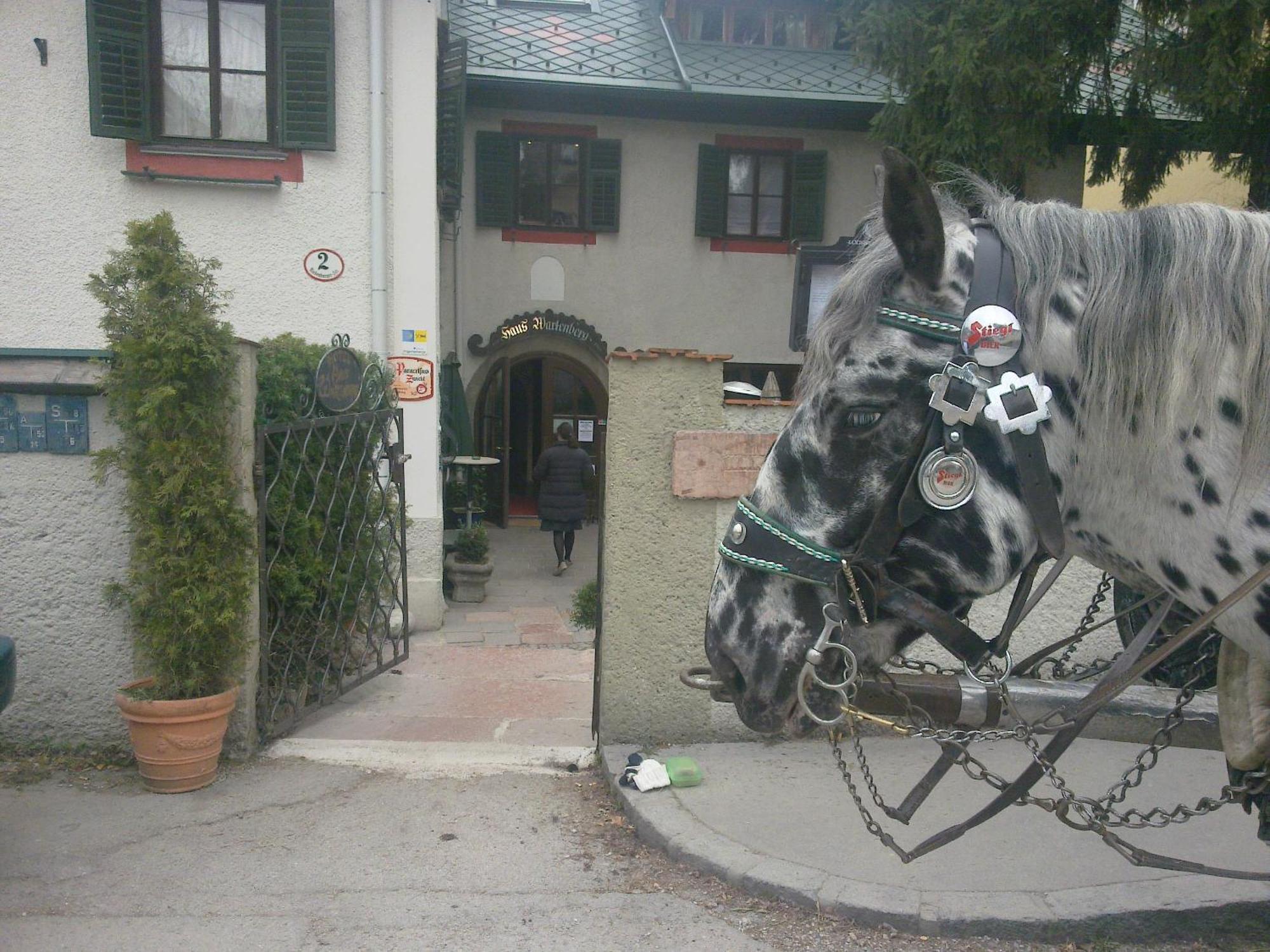 Hotel Haus Wartenberg Solnohrad Exteriér fotografie